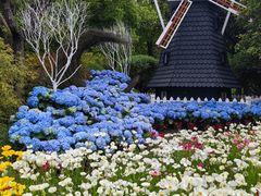 -上海鲜花港
