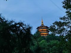 -孙奶奶葱包桧