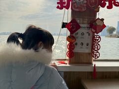 -金鸡湖桃花岛