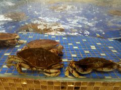 -义乌之心城市生活广场(新马路店)