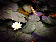 -杭州城北体育公园