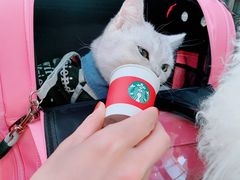 -星巴克(天津鲁能中心第三店)