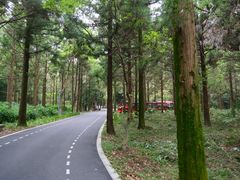 -东平国家森林公园