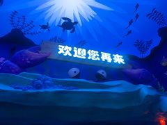-石家庄海洋公园