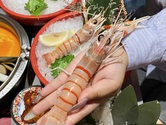 -一绪に寿喜烧(虹悦城店)