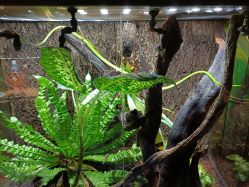 -酷嗒动物文化乐园(cutezoo西溪乐天城店)