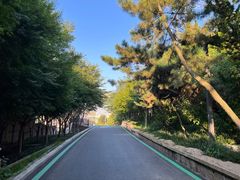 -北岭山森林公园