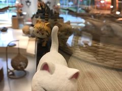 -飞行喵MR PILOT|猫舍·猫咖(静安大融城店)