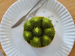 抹茶挞-猫里有甜
