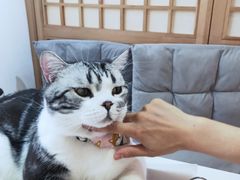-小时光咖啡馆(开森度假森林店)