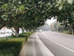 -韶山毛泽东同志故居