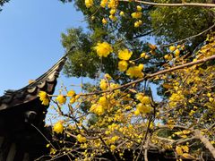 -无锡惠山寺
