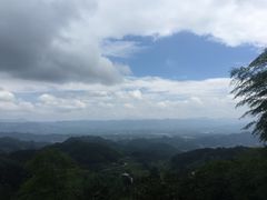 -紫鹊界梯田景区