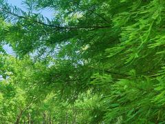 -上海浦江郊野公园-5号停车场