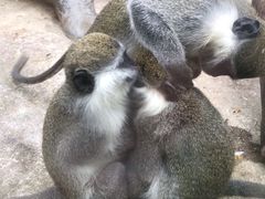 -泉州海丝野生动物世界