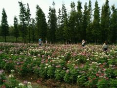 -艾溪湖湿地公园