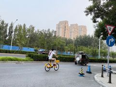 -枫花园汽车电影院(朝阳公园店)