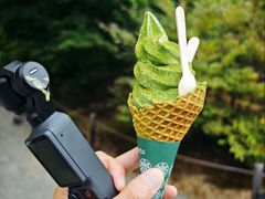 -豆政(金閣寺境内売店)