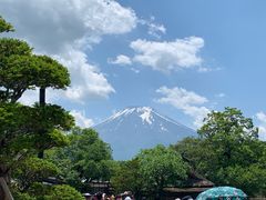 -焼肉とビール 市場小路(四条烏丸店)