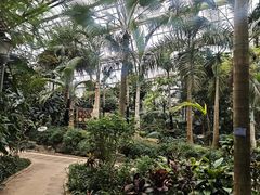 -南山植物园