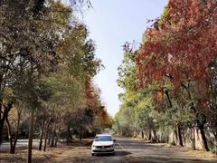 -胜华驾校·小猫学车(银都店)