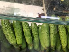 水黄瓜-新隆嘉超市(武昌街店)