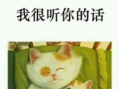 -驻马店柏林国际酒店