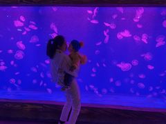 -华夏文旅西安度假区