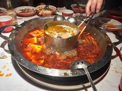 -蜀滋香鲜鱼美蛙火锅(339店)