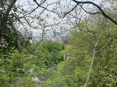 -黄鹤楼