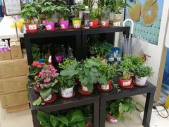 -联华超市(新闸路店)