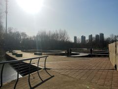 -长白岛森林公园