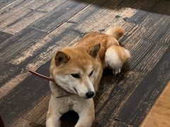 -三目仓咖啡(贤南路店)