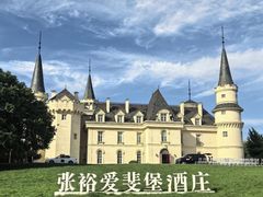 -北京张裕爱斐堡酒庄