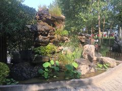 -合肥滨湖国家森林公园