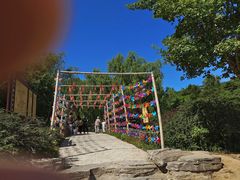 -北京西山国家森林公园