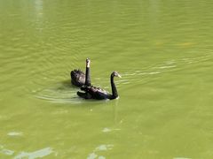 -广东茂名森林公园