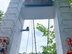 -西双版纳原始森林公园