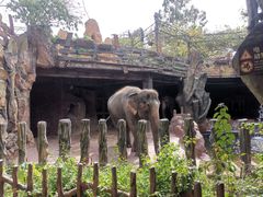 -长鹿旅游休博园