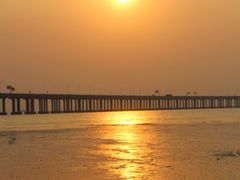 -宝安西湾红树林湿地公园