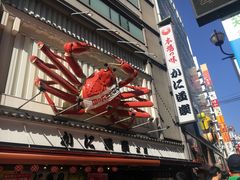 -蟹道乐(道顿堀本店)