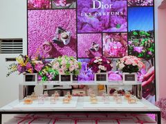 -Dior迪奥(上海世茂广场店)