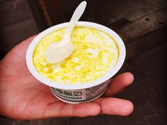 -德禄酸奶(莫家街店)