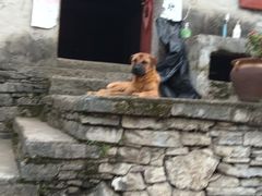 -高荡千年布依古寨旅游景区