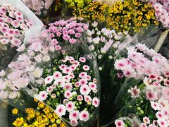 -循礼门鲜花花市(武汉循礼门店)