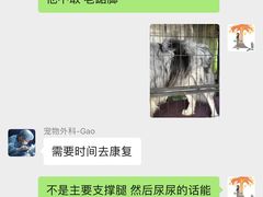 -派美特宠物医院·核磁CT·骨科肿瘤·疑难转诊(沈农禾丰店)
