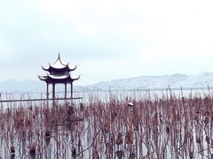 -杭州西湖银泰百货