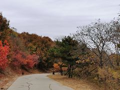 -北京西山国家森林公园