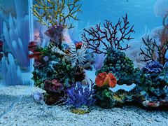 -秦皇岛新澳海底世界