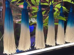 -芸山季·云南山珍菌火锅(人民广场来福士店)